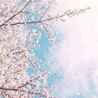 云开全站·appkaiyun