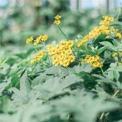 爱游戏体育下载