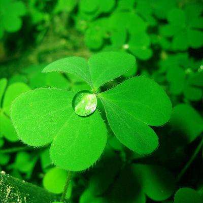 微博-随时随地发现新鲜事