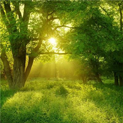 BOB体育APP官方下载