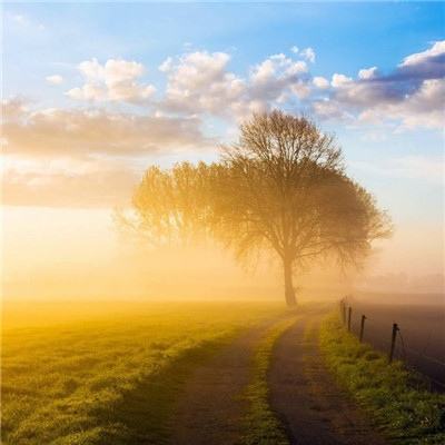 皇冠体育HG2022App